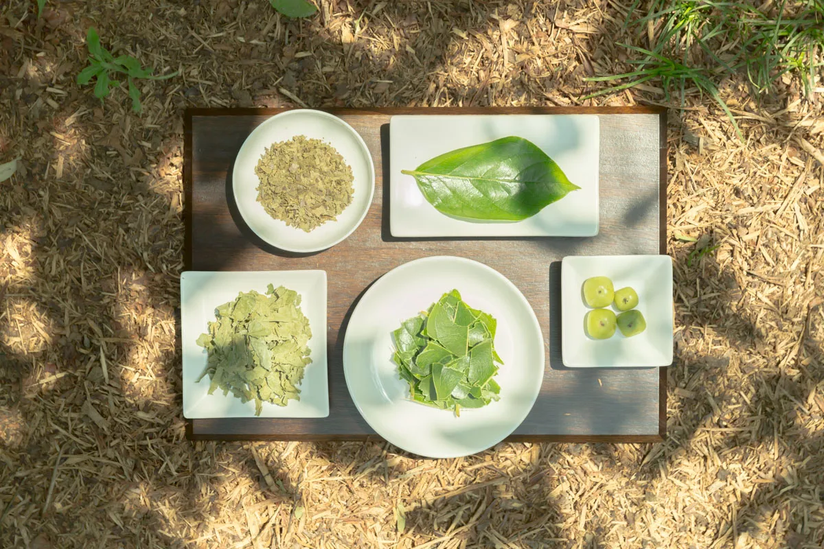 石井物産の写真