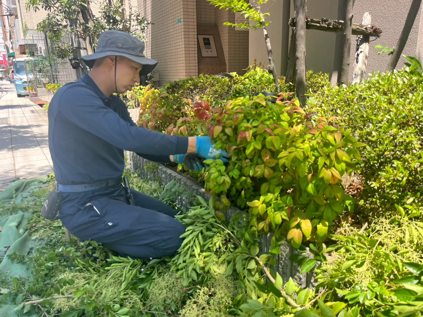 名越造園の写真